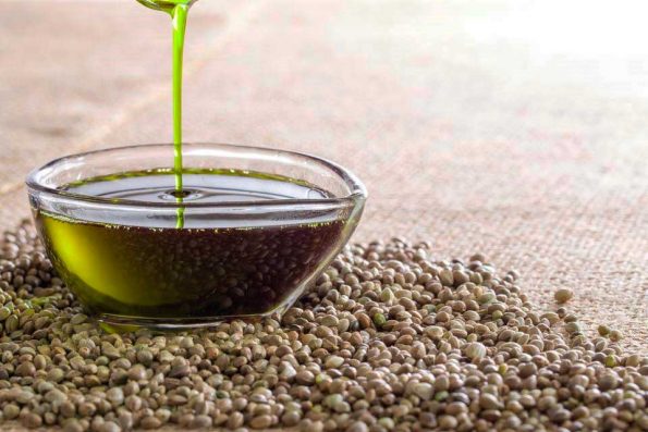 Как получают конопляное масло из семян марихуана концентрация в моче