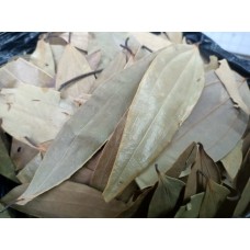 Индийский лавровый лист (тейпата, тей-пат)(Cinnamonum tamala) 100 гр.
