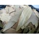 Индийский лавровый лист (тейпата, тей-пат) (Cinnamonum tamala) 100 гр.