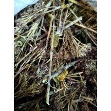 Очиток пурпурный трава сушёная